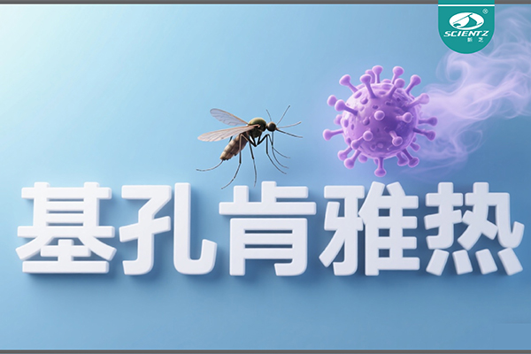 基孔肯雅熱疫情升級(jí)！新芝生物硬核技術(shù)助力病毒精準(zhǔn)診斷