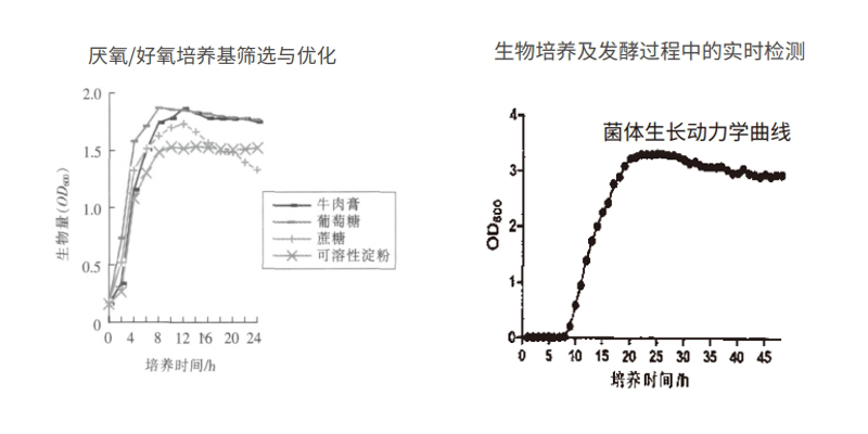過(guò)程安全，結(jié)果精準(zhǔn)